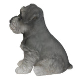 Adorable Seated Mini Schnauzer Puppy Collectible Figurine Amazing Dog Likeness Hand Painted Resin 6.5 inch Figurine Great for Dog Lovers Tabletop Decor