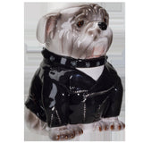 PACIFIC GIFTWARE Punk Rocker Bulldog Styling in a Leather Jacket with Collar Ceramic Cookie Jar