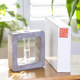 BOTEGA EXCLUSIVE Concrete Square Propagation Vase