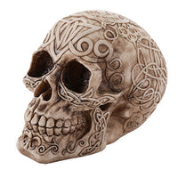 Celtic Owl Knotwork Human Skull Statue