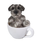 Mini Schnauzer Adorable Mini Teacup Pet Pals Puppy Collectible Figurine 3.25 Inches …