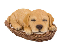 Labrador Puppy in Wicker Basket Pet Pals Collectible Dog Figurine 6.5 Inches L …