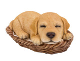 Puppy in Wicker Basket Pet Pals Collectible Dog Figurine 6.5 Inches L