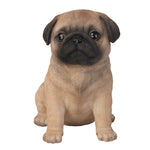 Adorable Seated Pug Puppy Collectible Figurine Amazing Dog Likeness Hand Painted Resin 6.5 inch Figurine Great for Dog Lovers Tabletop Decor