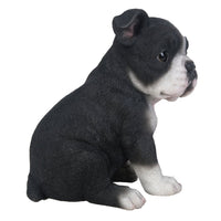 Adorable Seated Boston Terrier Puppy Collectible Figurine Amazing Dog Likeness Hand Painted Resin 6.5 inch Figurine Great for Dog Lovers Tabletop Decor
