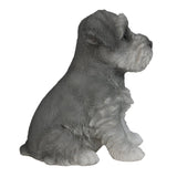 Adorable Seated Mini Schnauzer Puppy Collectible Figurine Amazing Dog Likeness Hand Painted Resin 6.5 inch Figurine Great for Dog Lovers Tabletop Decor
