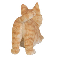 Realistic and Playful Orange Tabby Kitten Collectible Figurine Amazing Detail Glass Eyes Hand Painted Resin Life Size 8 inch Figurine Perfect for Cat Lover Collectible