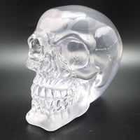 Translucent Clear Skull Gothic Halloween Decor 3.5 Inches Tall