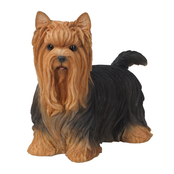 Realistic Life Size Yorkshire Terrier Yorkie Statue Detailed Sculpture Glass Eyes Hand Painted Resin 12 inch Figurine Home Decor Amazing Likeness