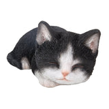 Realistic Bicolor Black and White Cat Kitten Sleeping Collectible Figurine Amazing Detailed Glass Eyes Hand Painted Resin Life Size 7 inch Figurine Perfect for Cat Lover Collectible