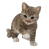 Realistic Grey Tabby Cat Kitten Collectible Figurine Amazing Detailed Glass Eyes Hand Painted Resin Life Size 10 inch Shorthair Figurine Perfect for Cat Lover Collectible