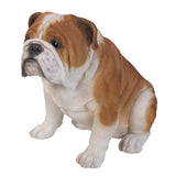 Realistic Life Size Bulldog Statue Detailed Glass Eyes Hand Painted Resin 18 inch Figurine Home Decor Amazing Likeness