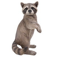 Realistic Looking Raccoon Standing On Hind Legs Statue Detailed Sculpture Amazing Likeness Life Size Scale Resin Sculpture Hand Painted Statue Indoor Outdoor Decor