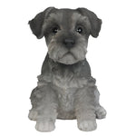 Adorable Seated Mini Schnauzer Puppy Collectible Figurine Amazing Dog Likeness Hand Painted Resin 6.5 inch Figurine Great for Dog Lovers Tabletop Decor