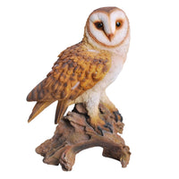 Realistic Looking Barn Owl Perched On Stump Statue Gallery Quality Detailed Sculpture Amazing Likeness Life Size Scale Resin Sculpture Hand Painted Statue Indoor Outdoor Decor