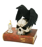 Gothic Raven Perched on Skull Poe Raven Spirit Guide Decorative Box Halloween Decor Secret Stash Box 7.5 Inch L Home Decor Gift