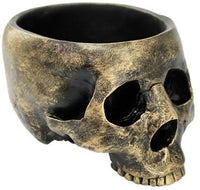 Bronzed Resin Skull Bowl Jewelry Box Collectible Figurine