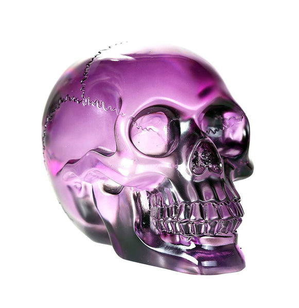 Pacific Giftware Crystal Clear Translucent Skull Collectible Figurine 4.5 Inch