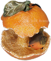 ABZ Brand Garden Farm Colorful Fruits Hanging Wild Bird Feeder (Orange)