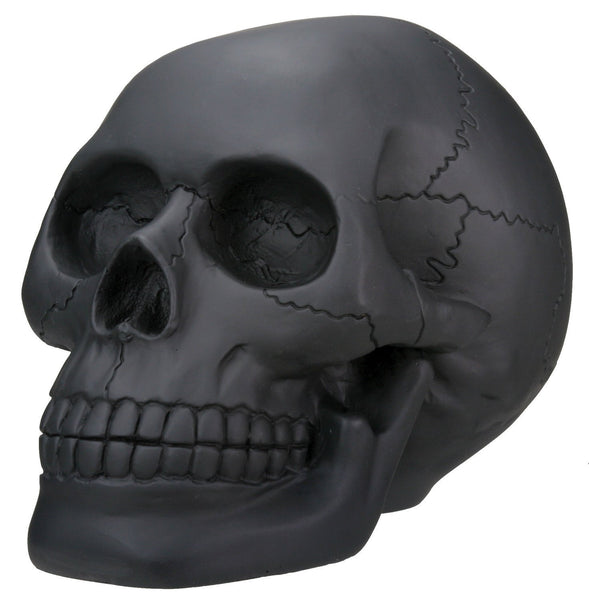 Black Skull Head Collectible Skeleton Decoration Statue