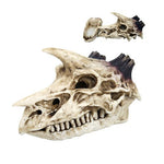 Dragon Skull Incense Box Collectible Figurine