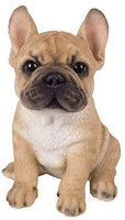 Pacific Giftware French Bulldog Puppy Statue Realistic Glass Eyes