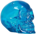 ABZ Brand Clear Translucent Blue Skull Collectible Halloween Skeleton Human