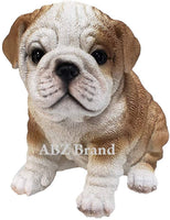 Adorable Wrinkled English Bulldog Puppy Red White Bully Statue Glass Eyes
