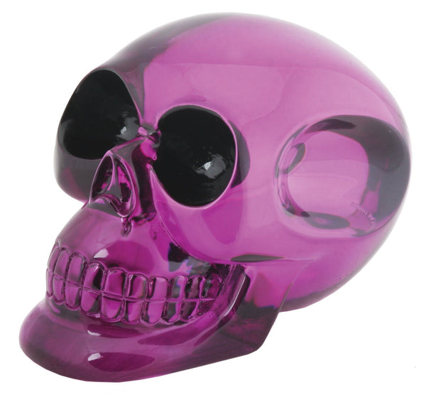Resin Skull - Collectible Figurine Statue Sculpture Figure Skeleton
