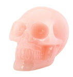 Resin Skull - Collectible Figurine Statue Sculpture Figure Skeleton