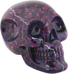 Resin Skull - Collectible Figurine Statue Sculpture Figure Skeleton