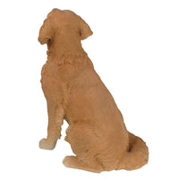 Realistic Life Like Sitting Golden Retriever Statue Glass Eyes
