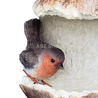 ABZ Brand Garden Farm Colorful Fruits Hanging Wild Bird Feeder (Coconut)
