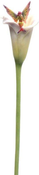 Calla Lilly with Fairy Flitty Statue Figurine in Window Gift Box