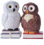 Pacific Giftware Book Owls Hedwig Magnetic Salt and Pepper Shaker Kitchen Set 4.75 inches Tabletop Kitchen Decor