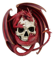 Blood Dragon Contemplation Skull Sculptural Wall Decor by Anne Stokes Fantasy Artist