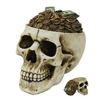 Pacific Giftware PT Money Top Skull Box Container Home Tabletop Decorative Resin Figurine