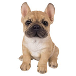 Adorable French Bulldog Puppy Statue Glass Eyes Frenchie AKC Pup