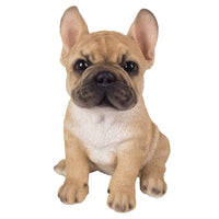 Adorable French Bulldog Puppy Statue Glass Eyes Frenchie AKC Pup