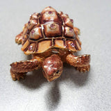 Tortoise bejeweled jewelry box 1