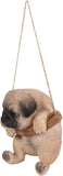 Hanging Pug Puppy