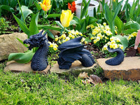 Emerging Dragon Lawn Grass Statue Medieval Stone Color