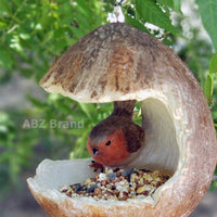 ABZ Brand Garden Farm Colorful Fruits Hanging Wild Bird Feeder (Coconut)