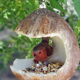 ABZ Brand Garden Farm Colorful Fruits Hanging Wild Bird Feeder (Coconut)