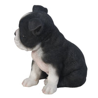Pacific Giftware Adorable Seated Boston Terrier Puppy Collectible Figurine Amazing Dog Likeness Hand Painted Resin 6.5 inch Figurine Great for Dog Lovers Tabletop Decor
