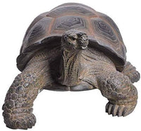 Pacific Giftware PT Realistic Look Statue Wildlife Walking Tortoise...