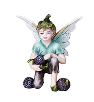 Pacific Giftware Fairy Garden Flower Boy Fairy with Blue Berries Decorative Mini Garden of Enchantment Figurine 3 Inch