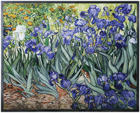 YTC 14 Inch Van Gogh - Irises Novelty Wall Art Decoration Display