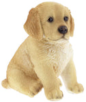 Border Concepts Nature's Gallery Pet Pals (Golden Retriever Puppy)