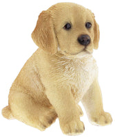 Border Concepts Nature's Gallery Pet Pals (Golden Retriever Puppy)